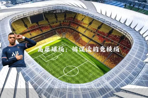 高原球场：被误读的竞技场