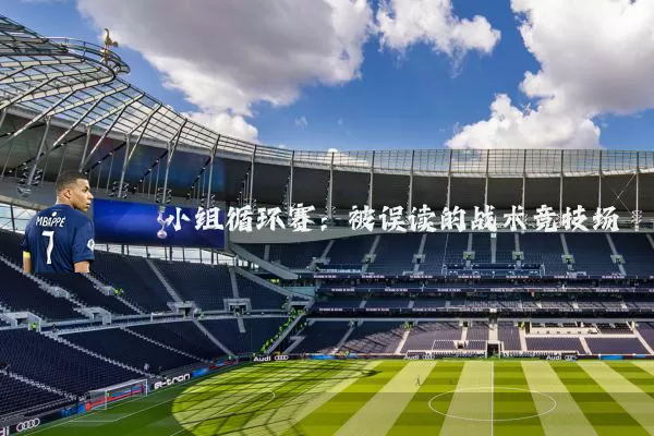 小组循环赛:被误读的战术竞技场
